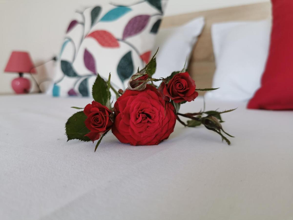 Casa Del Mar Hotel Primorsko Luaran gambar